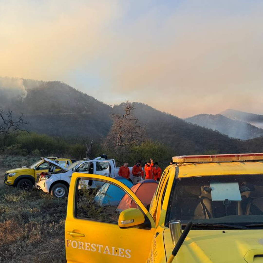 Incendio Forestal en Sierra Alta de Sonora ha Consumido 1,202 Hectáreas